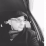 Новиков Дмитрий